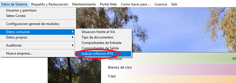 IndiceInflacion.png